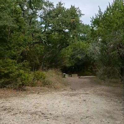 Worth it just to see roadrunners (zoom in it's there)