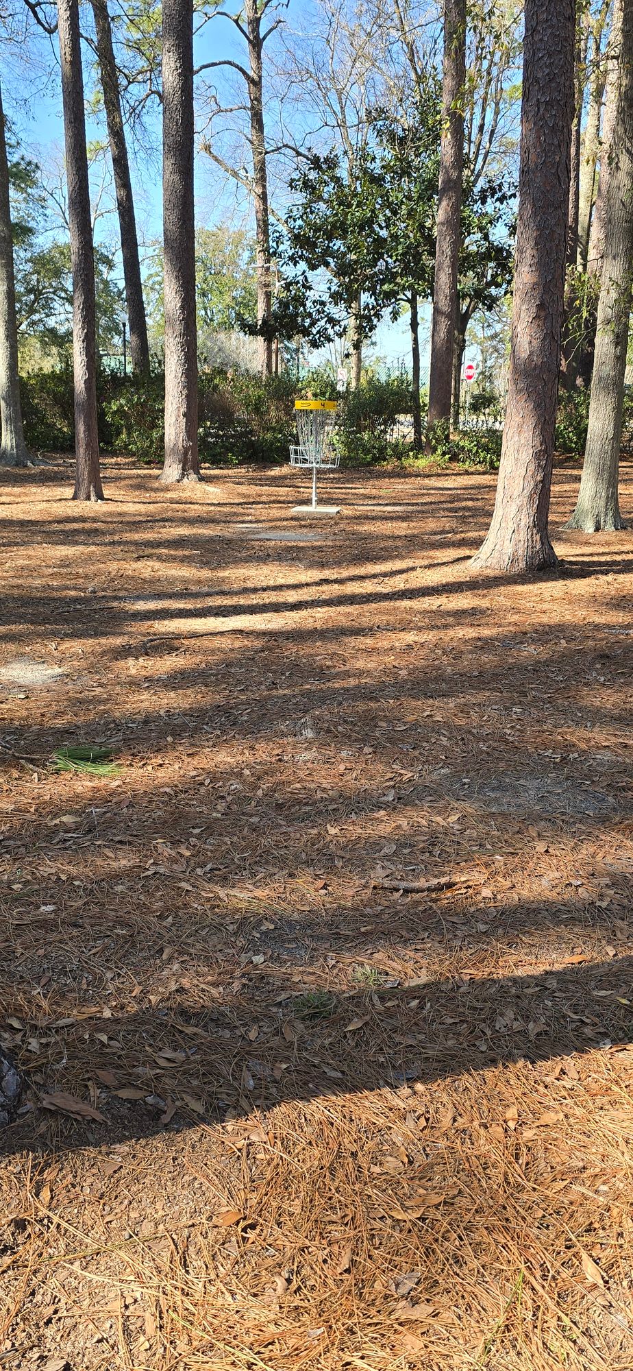 Hole 4 basket
