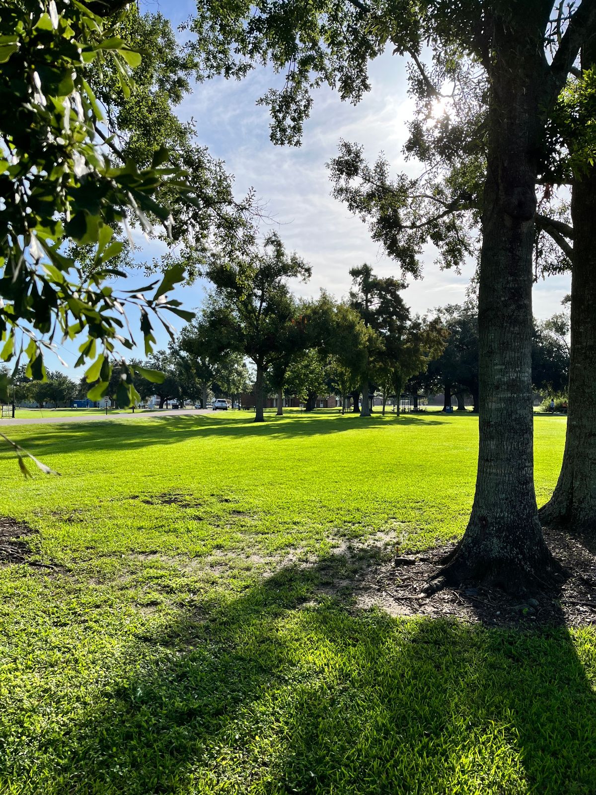 Test round with the proposed layout.