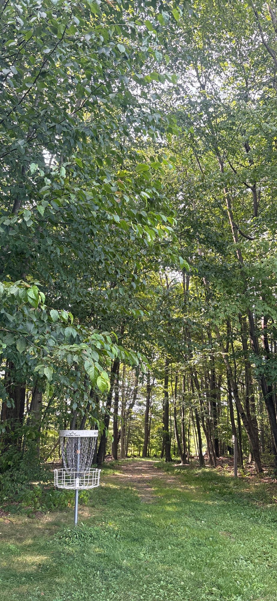 Hole 3
