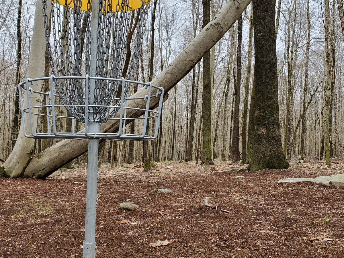 Hole 15