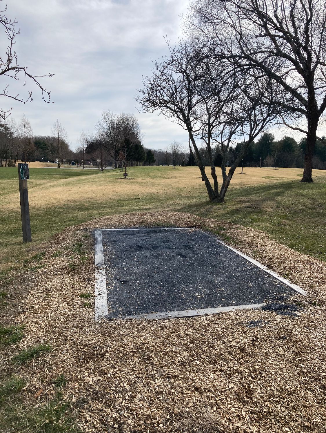 Hole 6 Tee