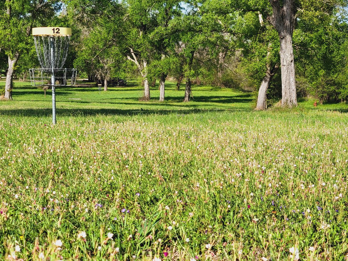 Field in bloom April 2nd, 2021