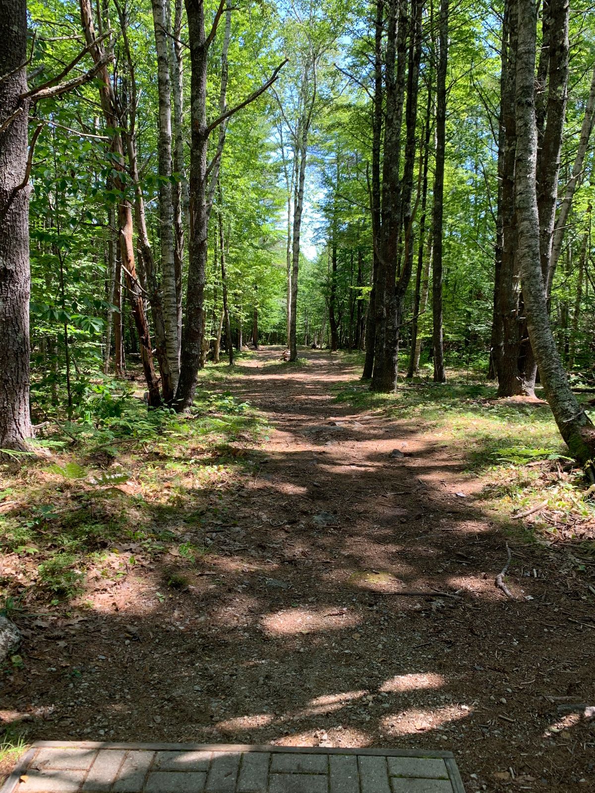 Woodland Valley Kodiak