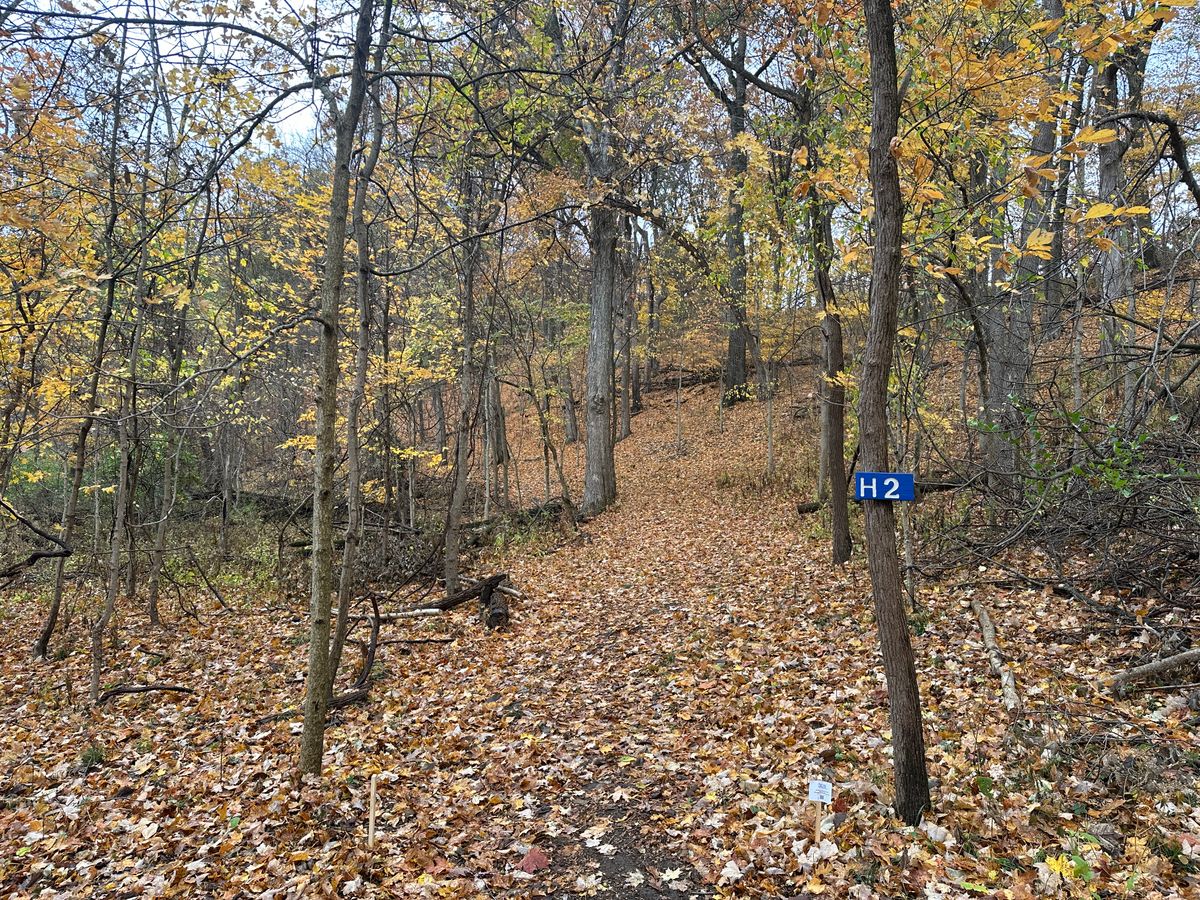 Hole 2 tee
