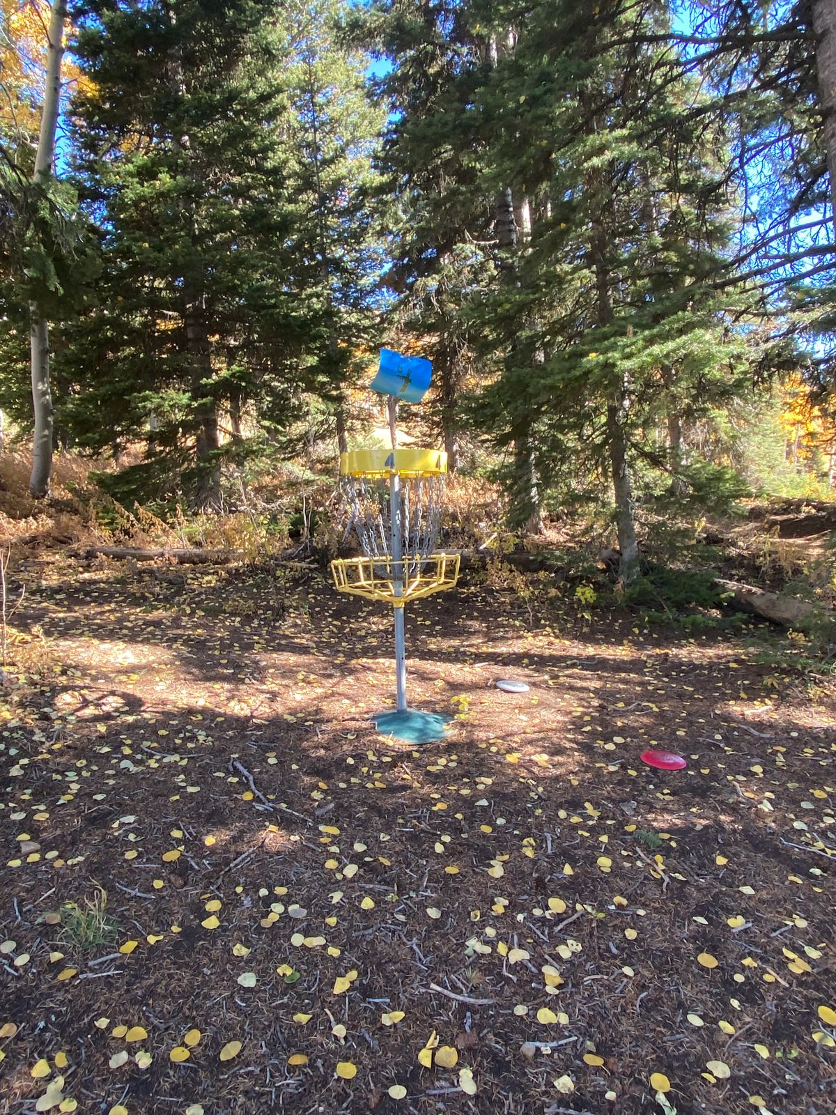 Hole #4