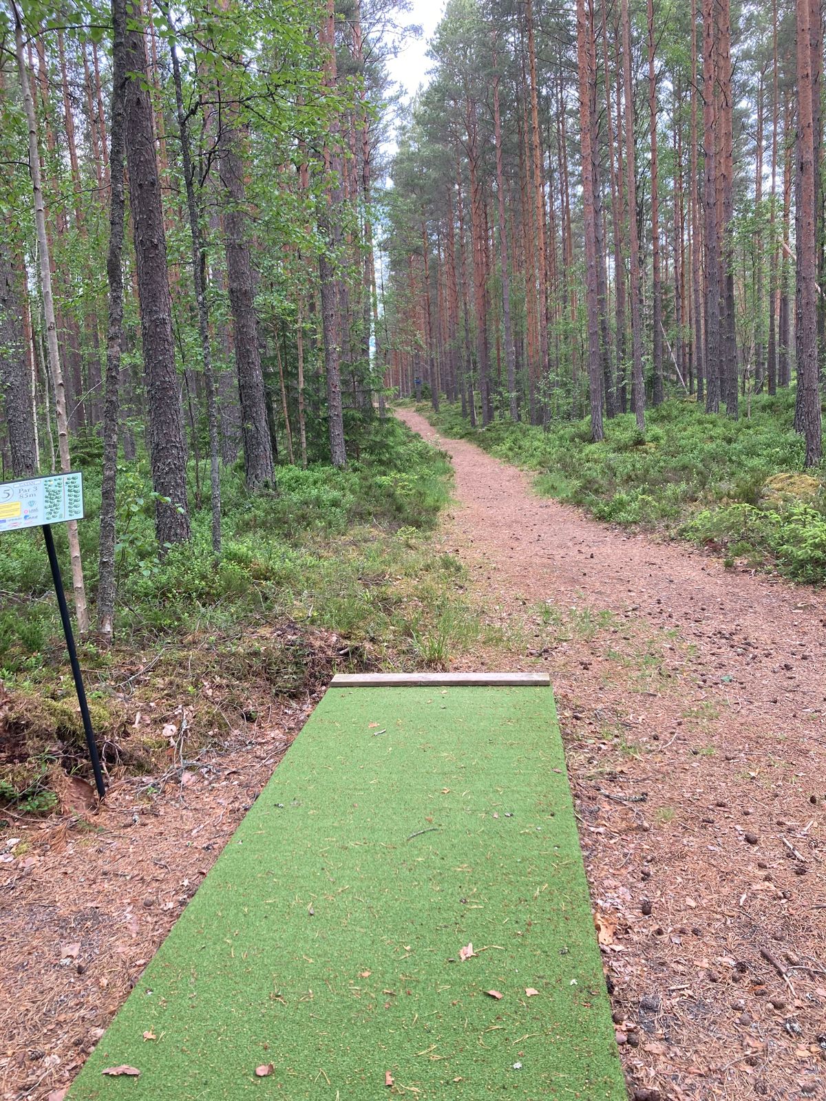 Tee hål 15