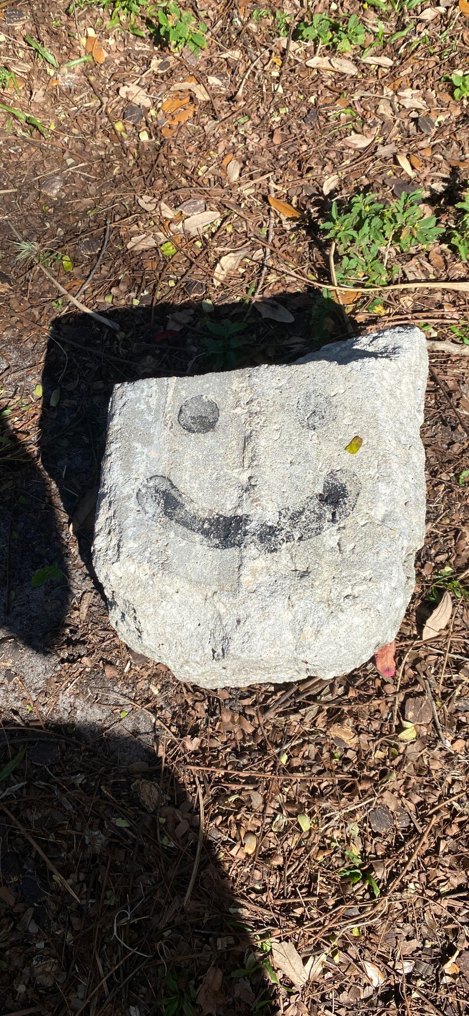 Smiley face rock hole 15