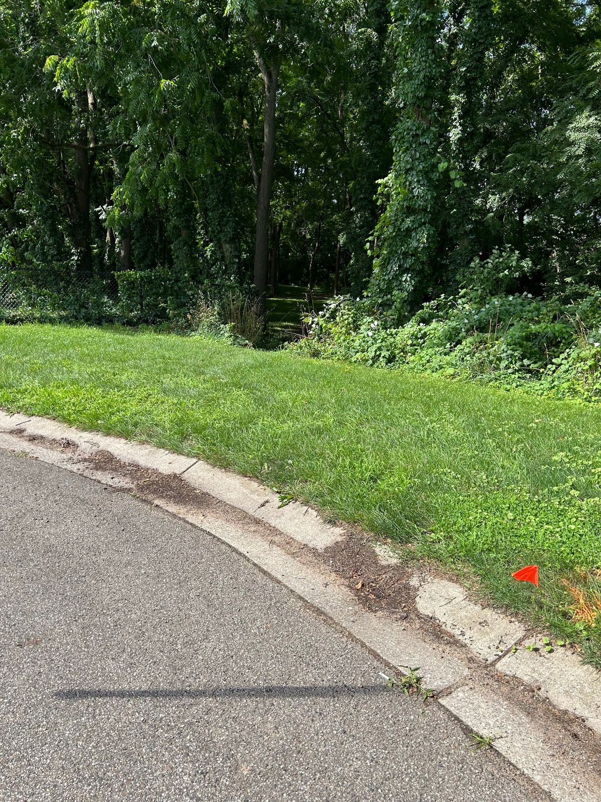 Hole 1 starts on the loop of parking lot. Tight gap, especially from alternate tee spot.