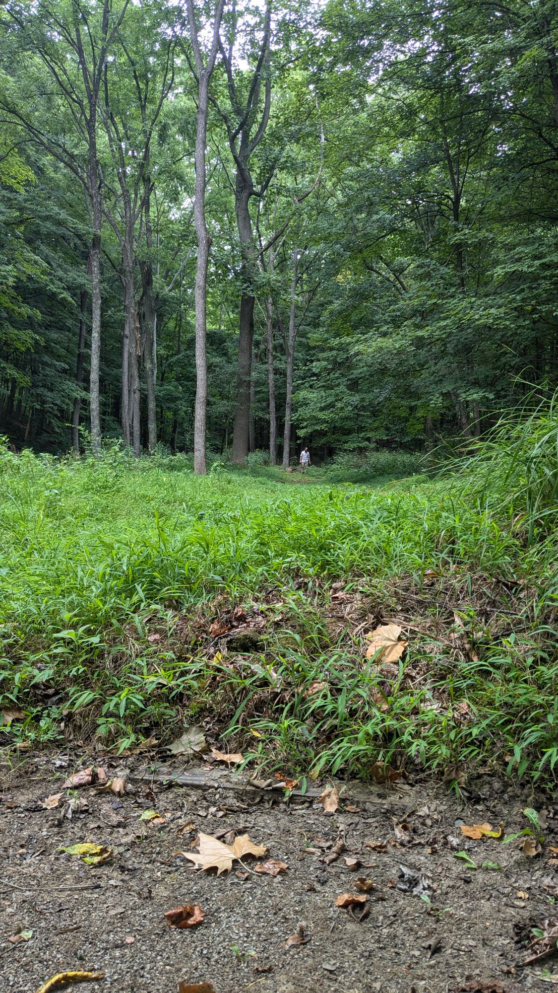 Hole 16