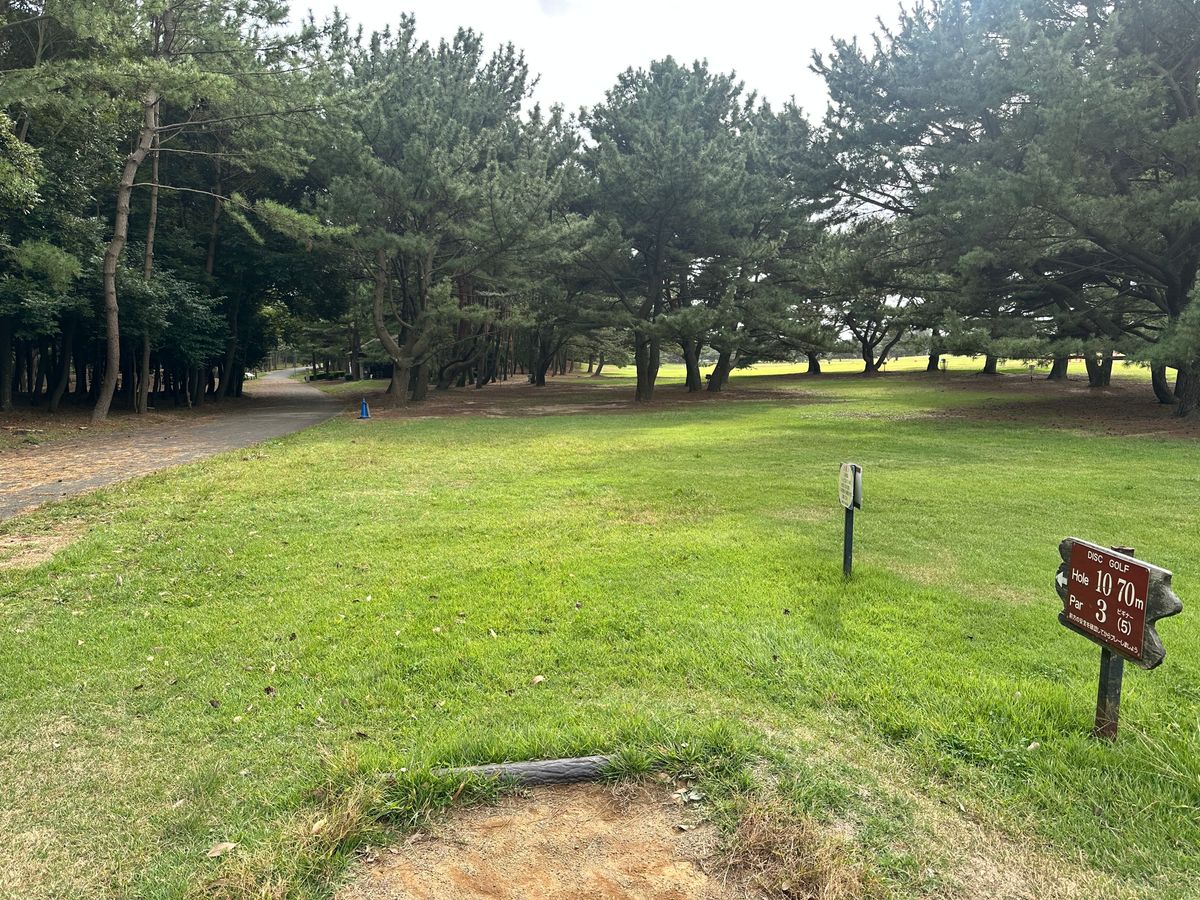 Hole 10