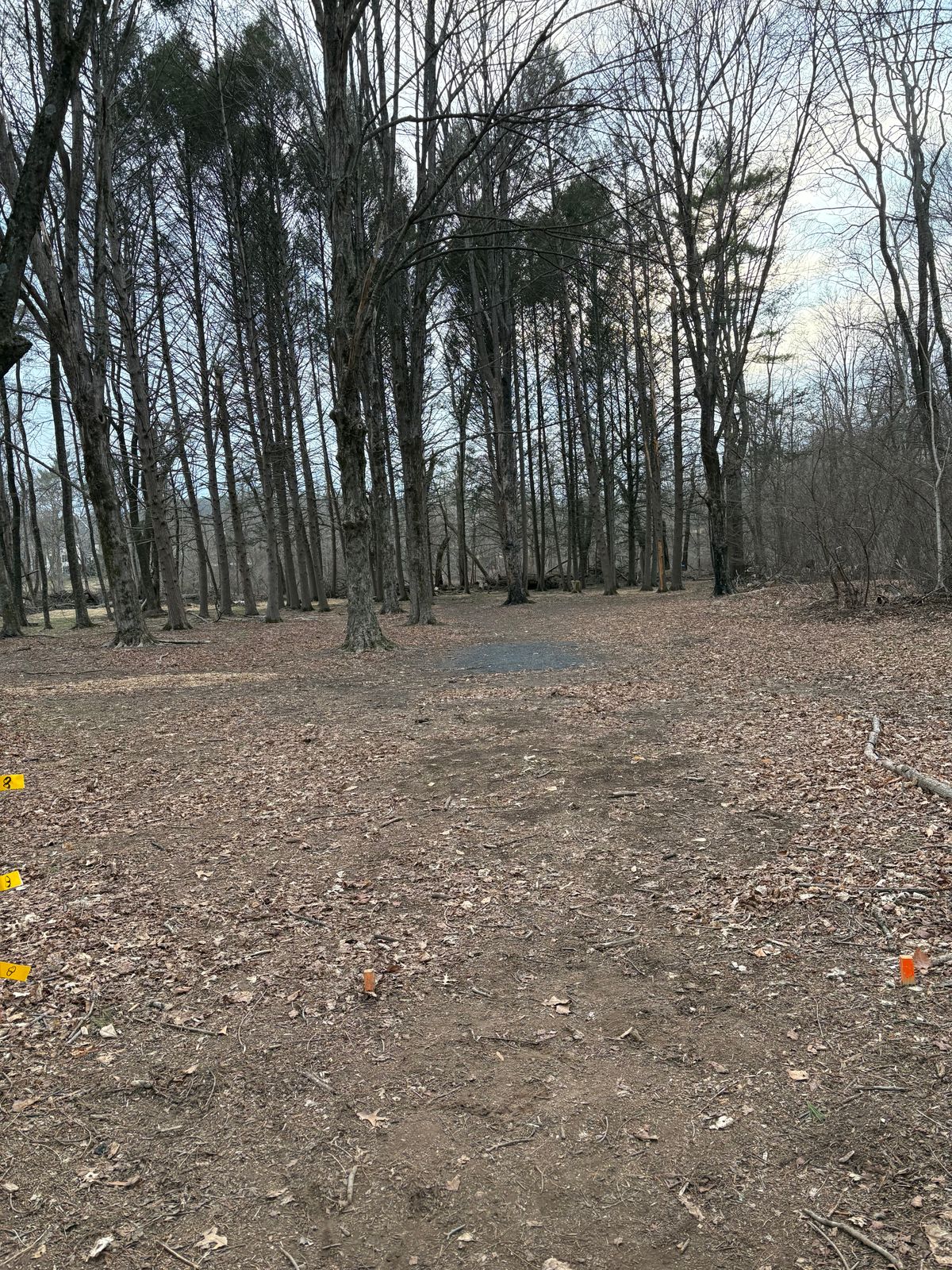 Proposed hole 8 about 30-40 feet back of the old position.