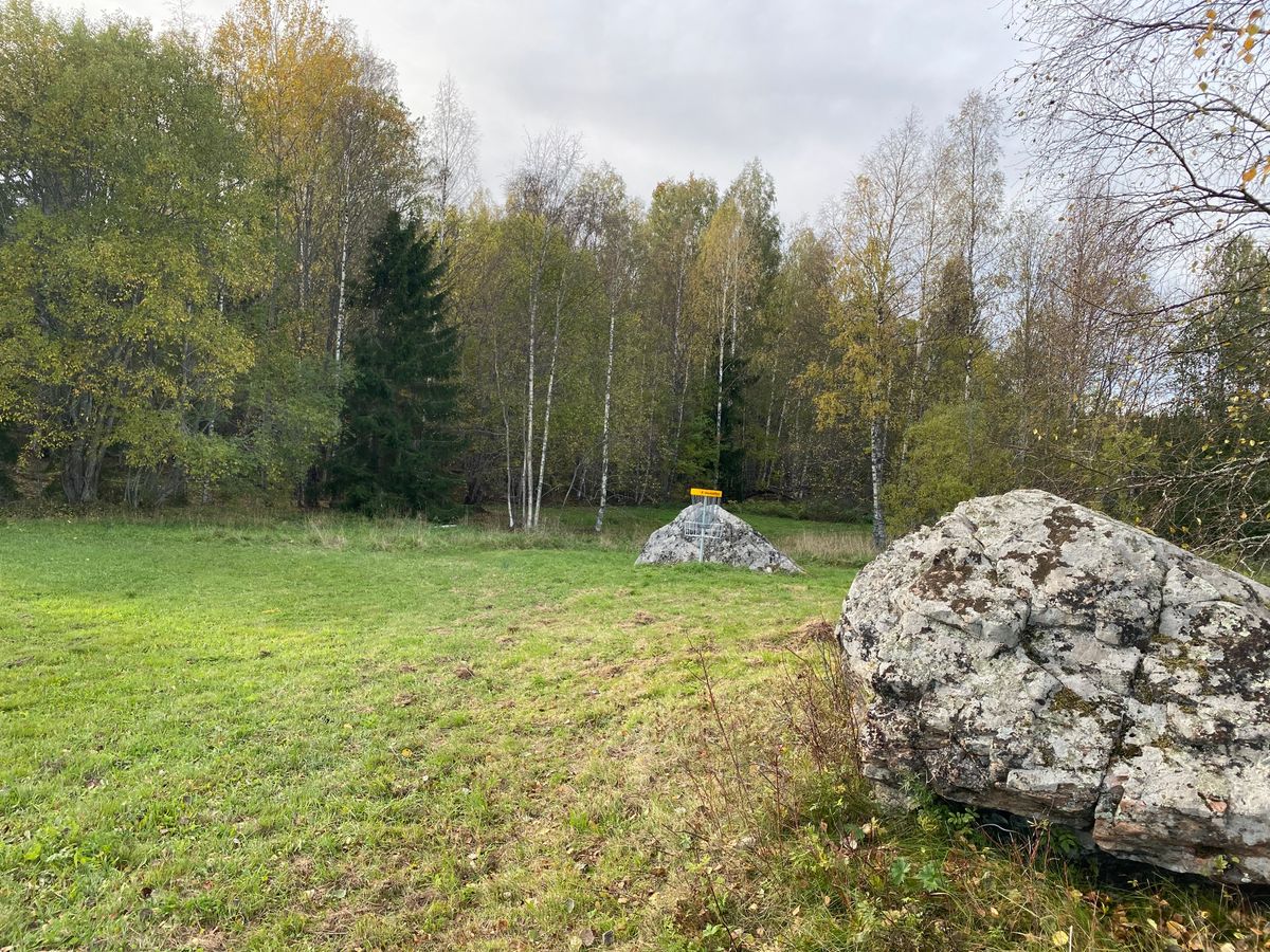 Hål 3. Par 4.
Det är en bit till den här korgen från tee, beroende på vilken linje du väljer.