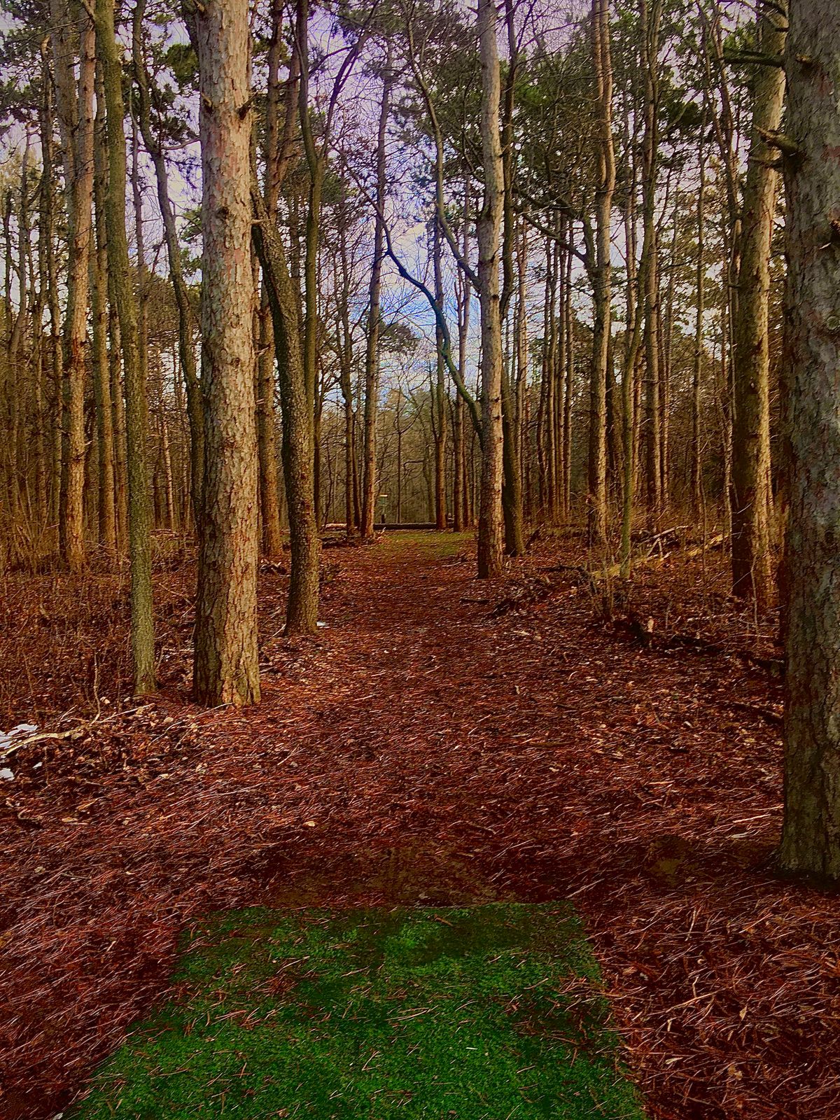 Hole 4 from the tee pad