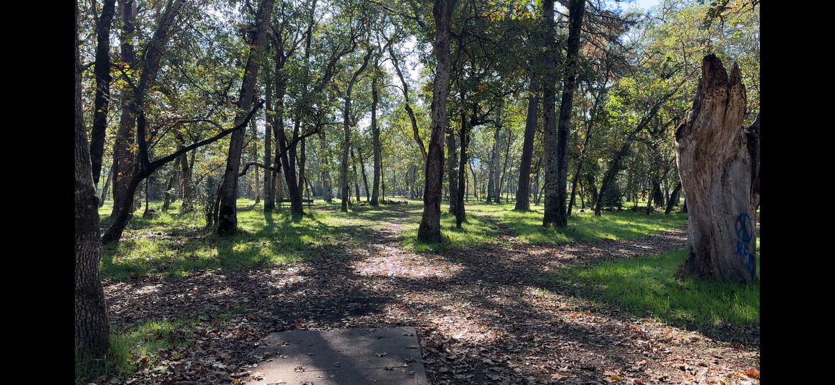 Hole 14