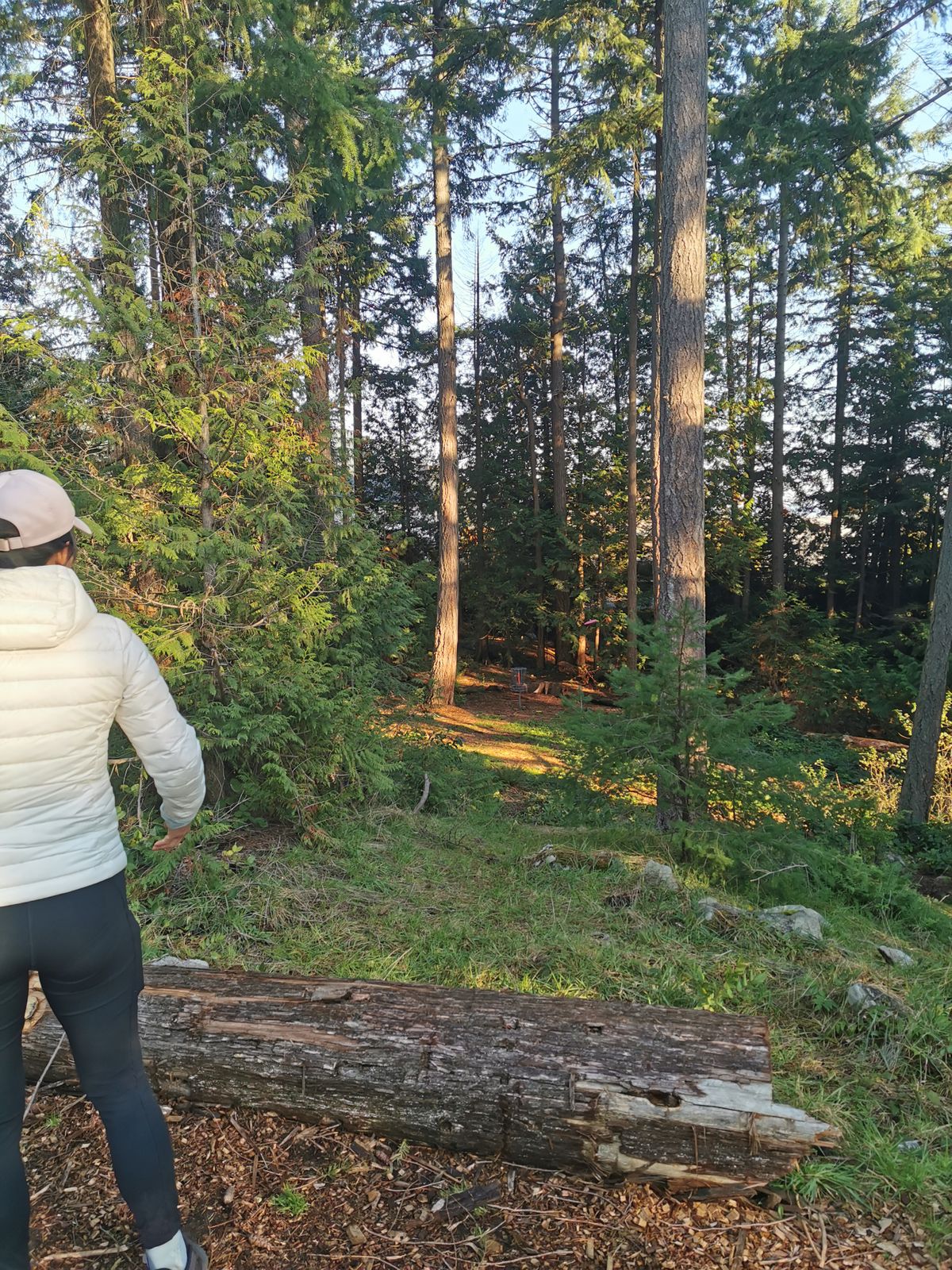 Hole 5