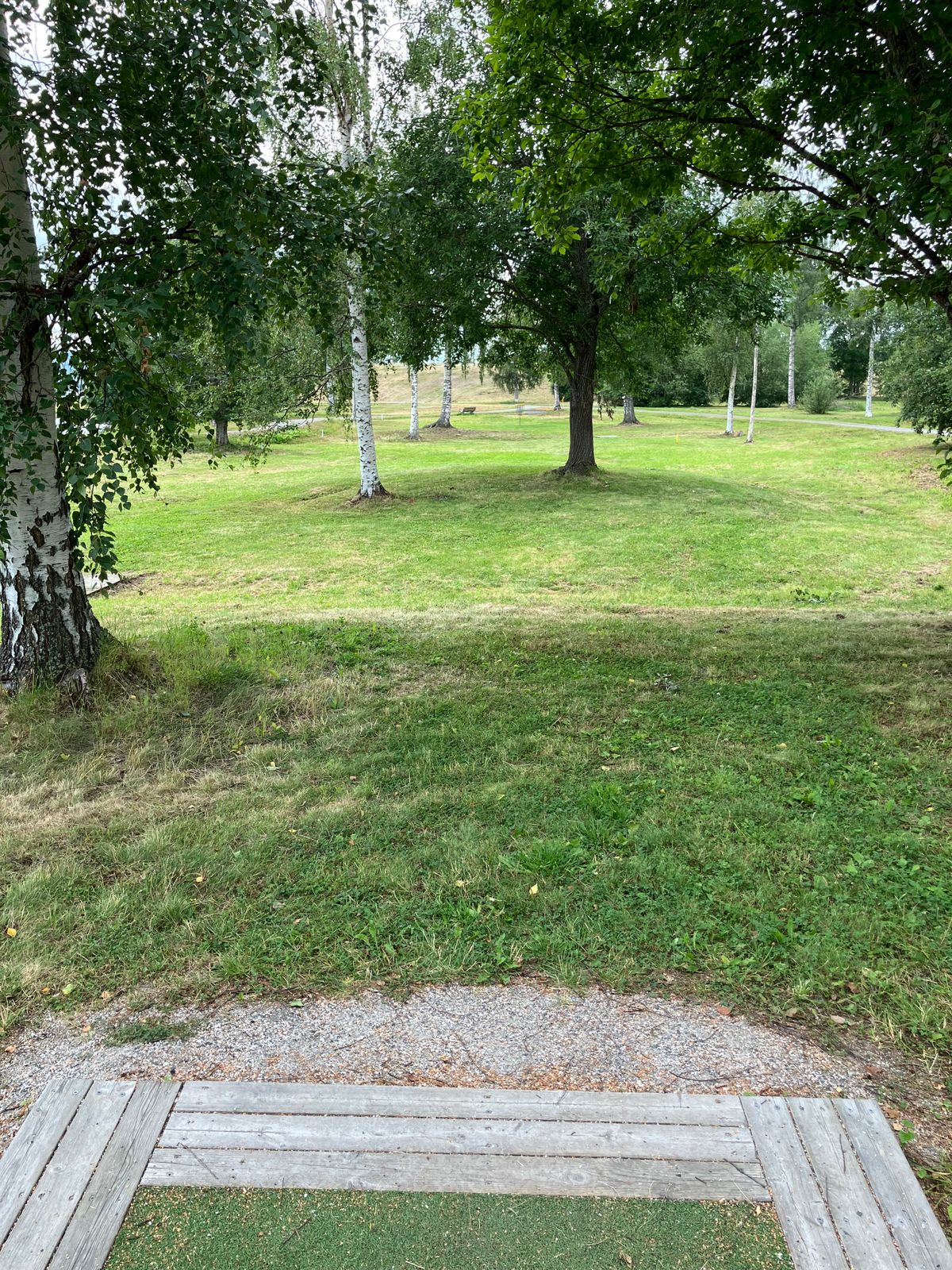 Hål 5, Grön Tee