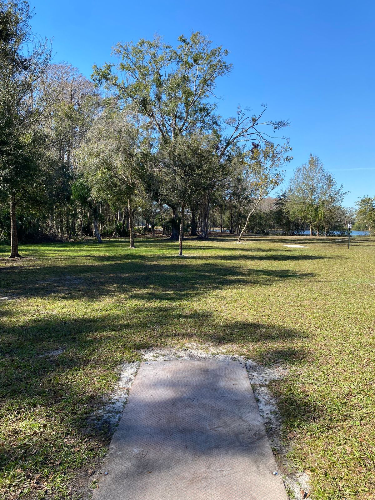 Hole 7 gold tee.