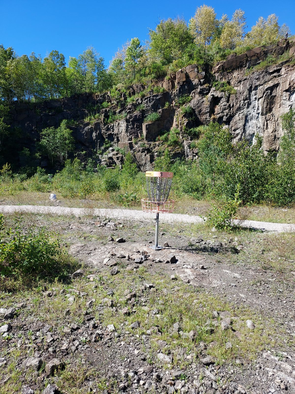 Hole 3 Short Basket