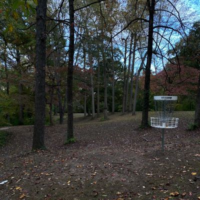 Basket 17 facing the tee pad