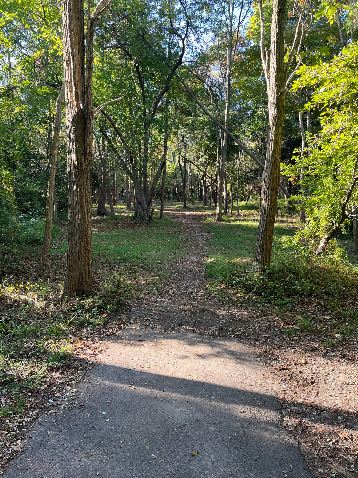 Hole 6 tee
