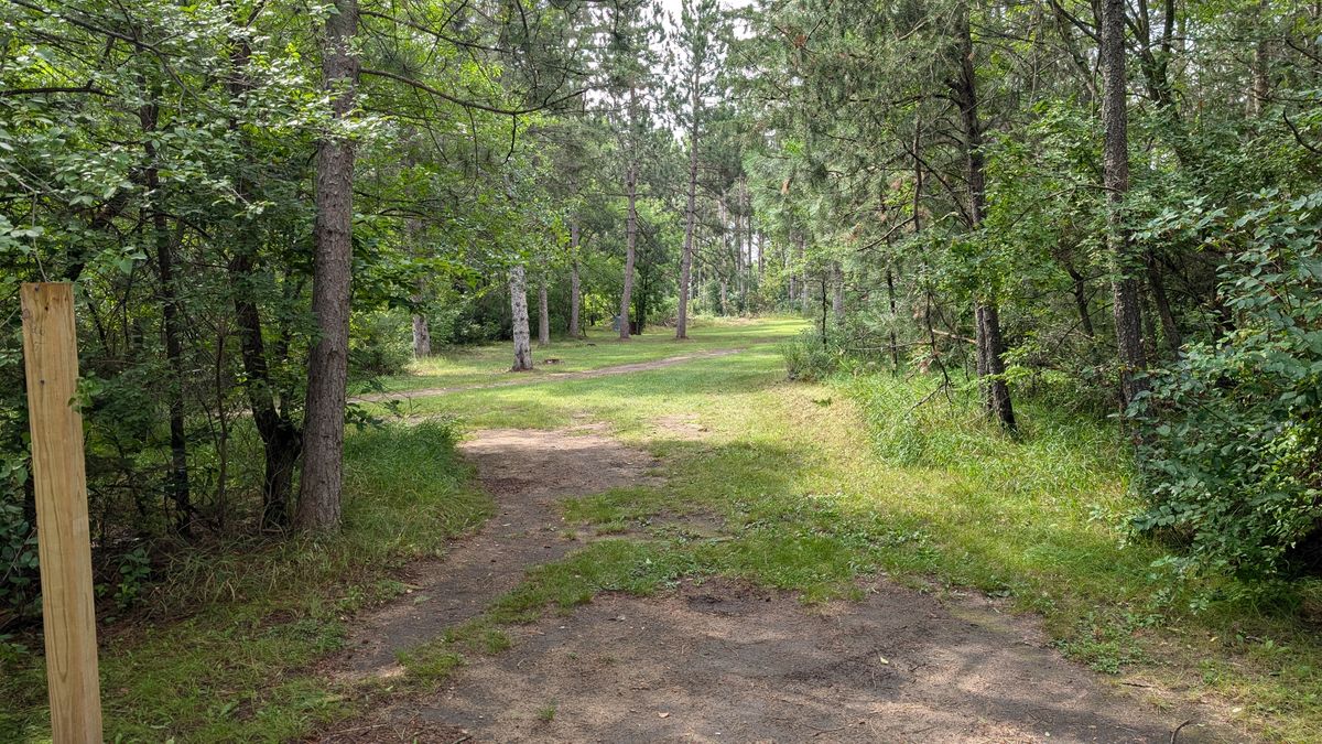 Hole 15