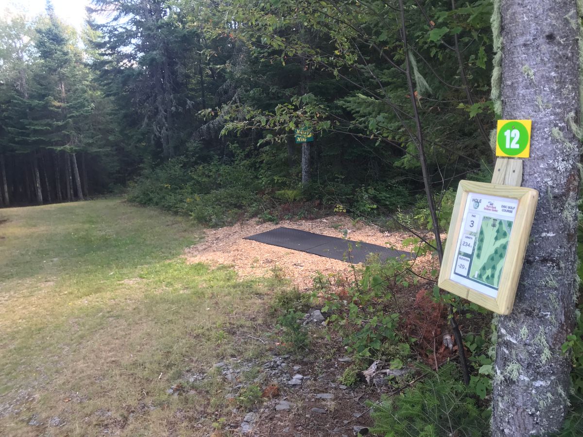 Tee pad at 12