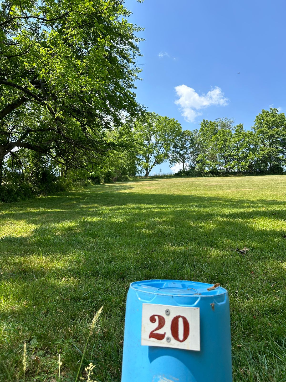 Basket to heaven, Blue Hole 20.  The elevation in the photo is about 50 feet from tee to basket.