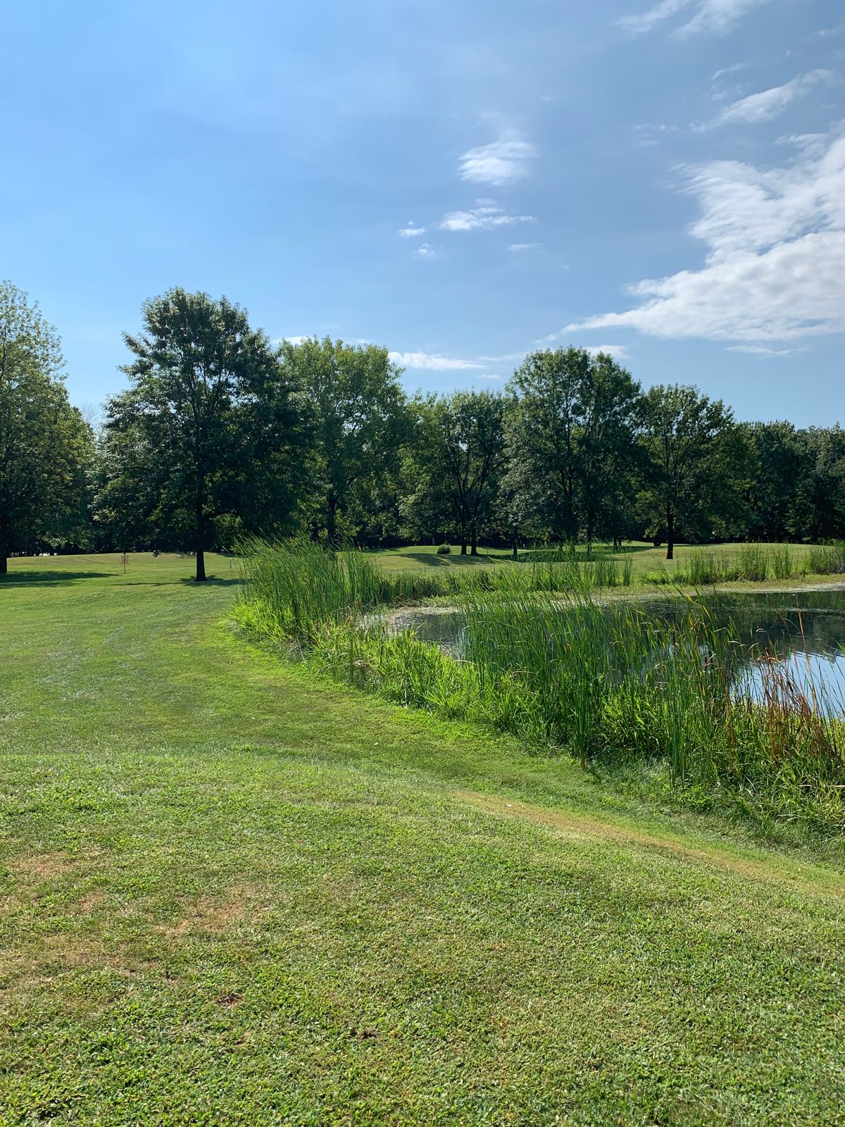Hole 3