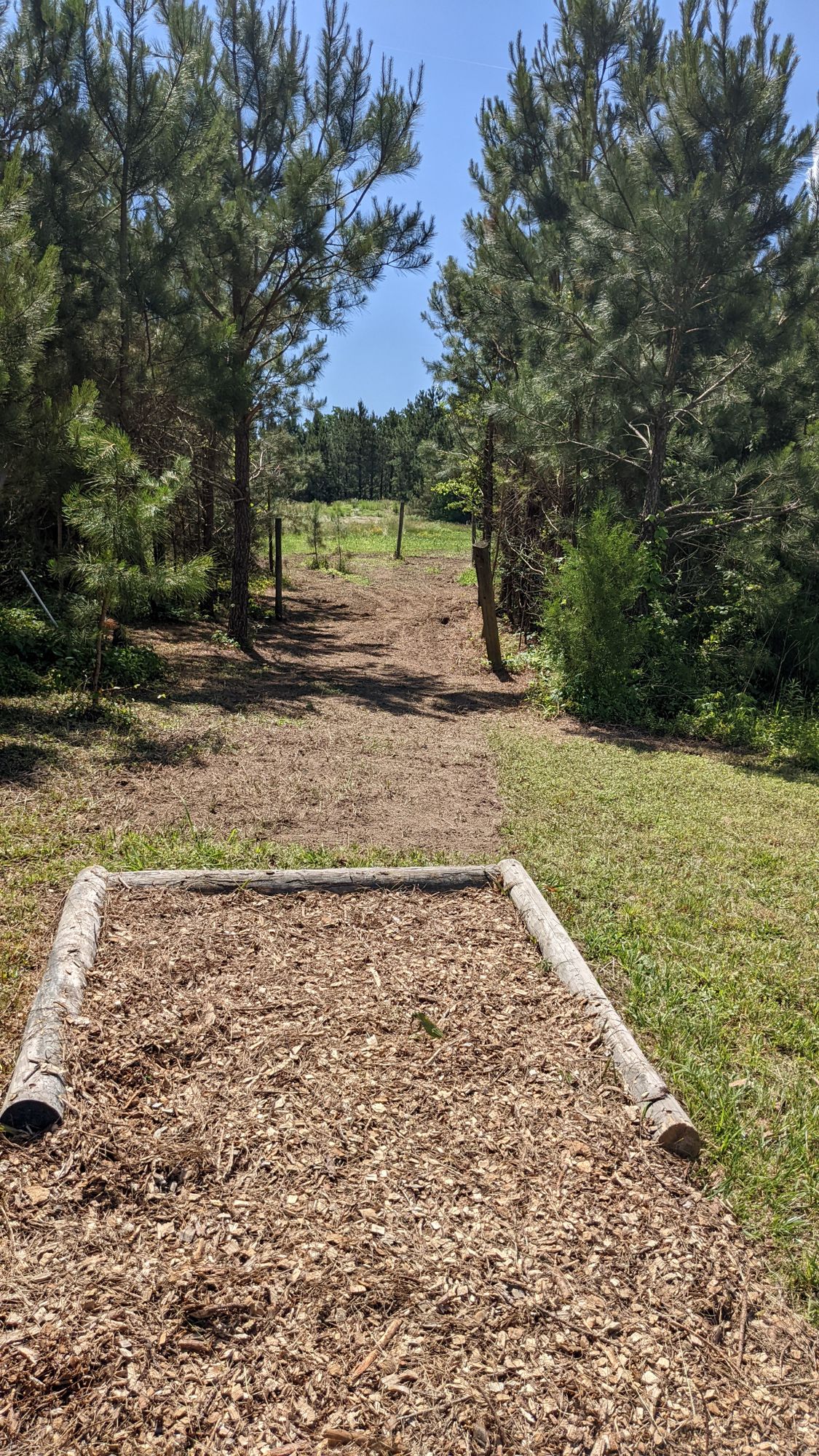 #12 teebox