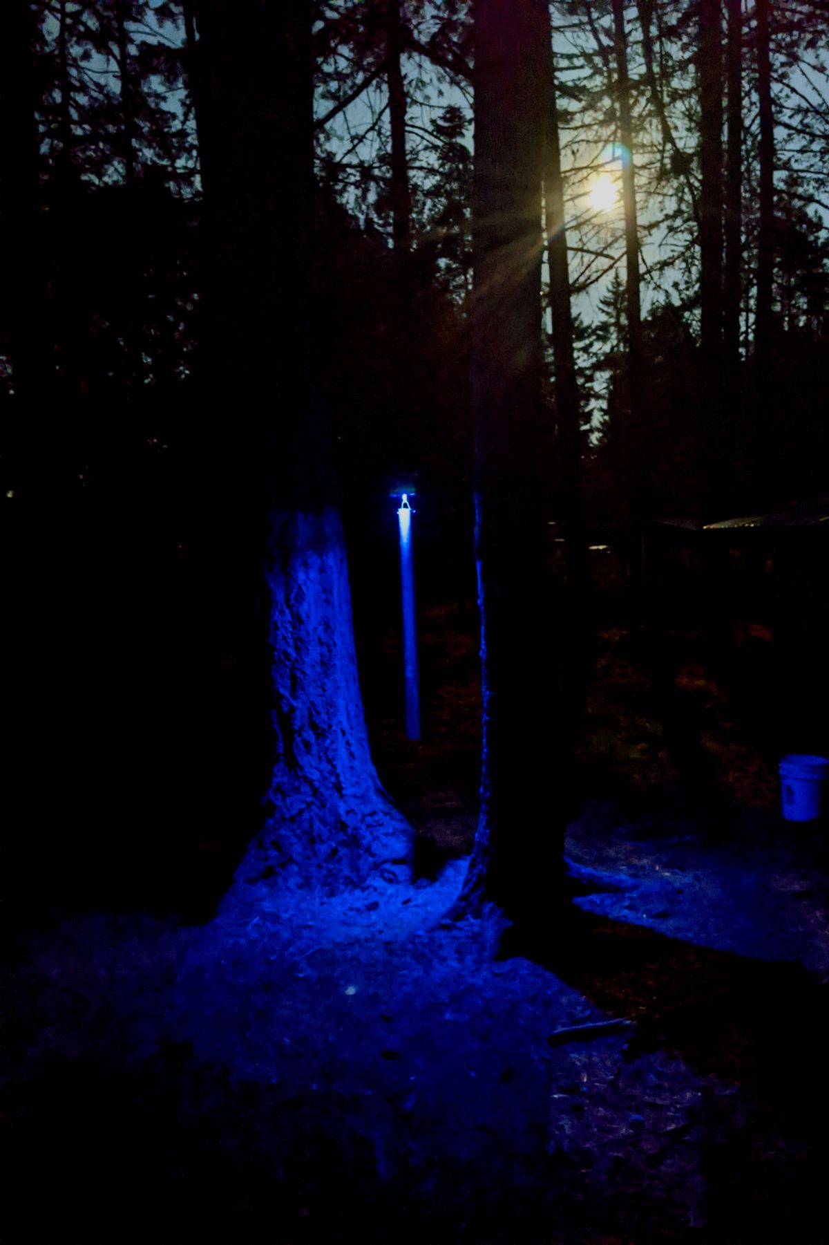 Night shot of the tonal on Hole 9 of the GLOW layout.