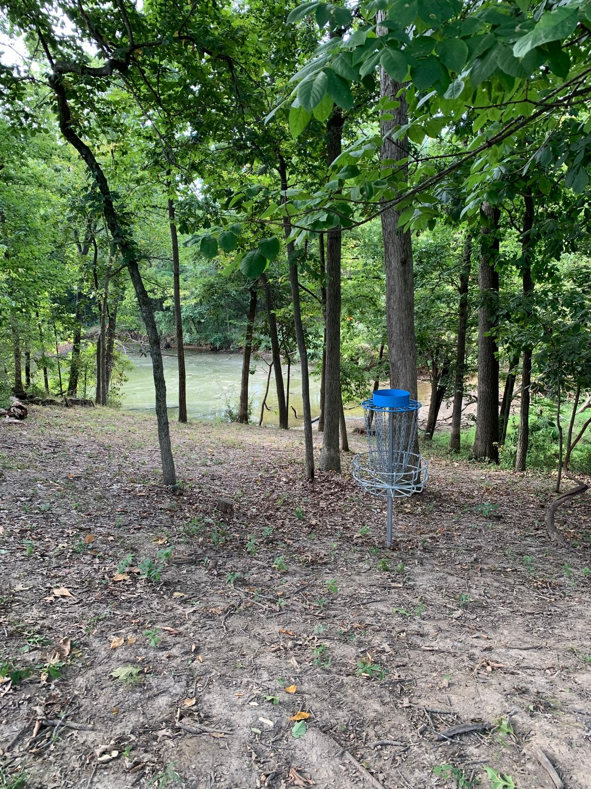 Hole 14 View behind basket