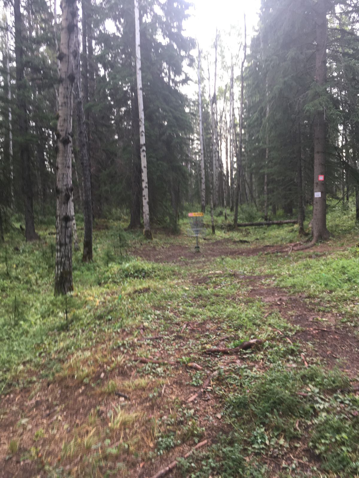 Upshot on hole 15.🌿🌲🌿🇨🇦🌲