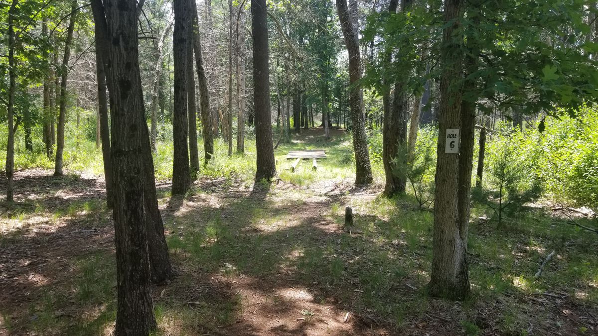 Hole 6.