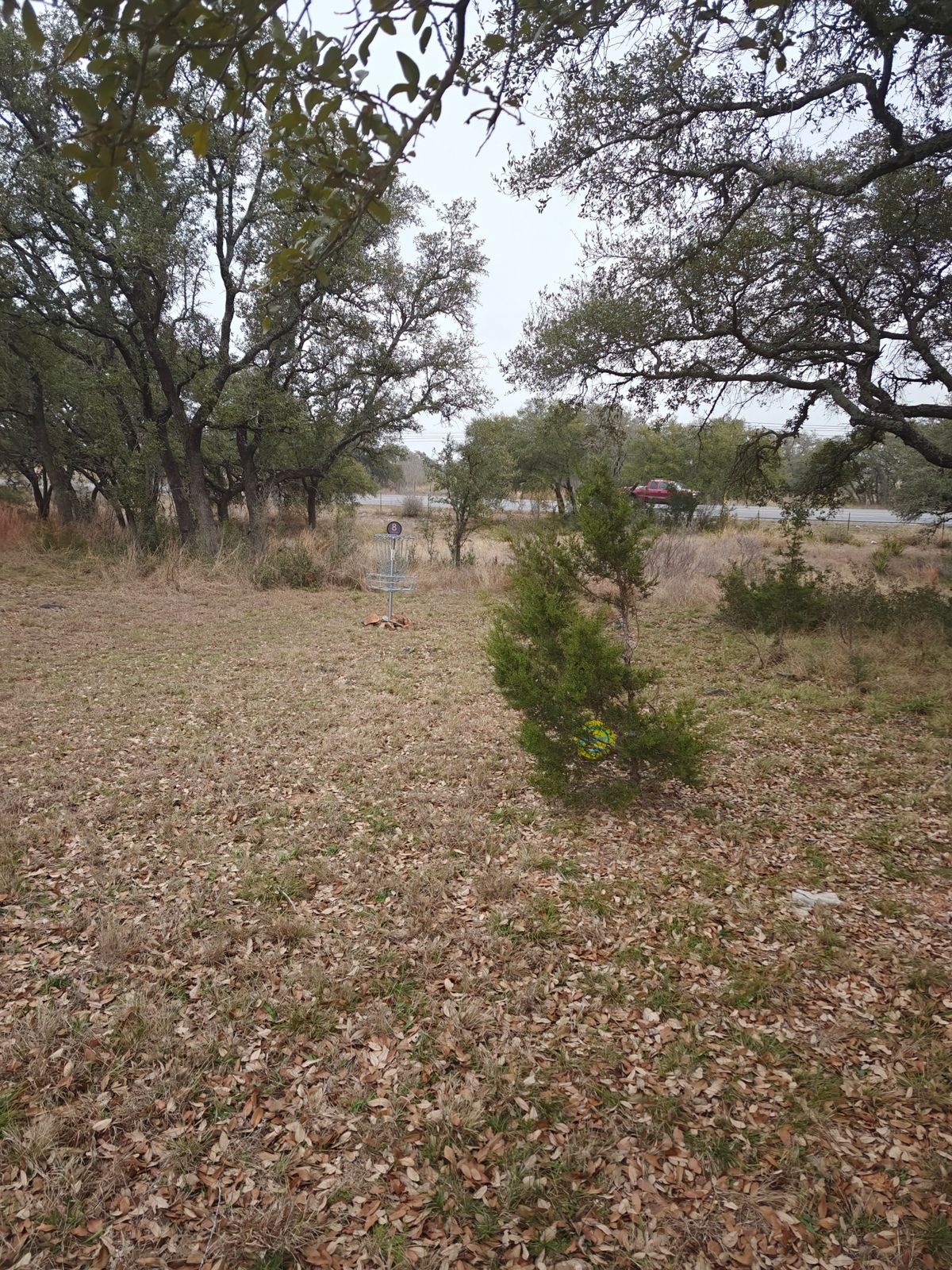 Hole 8 basket