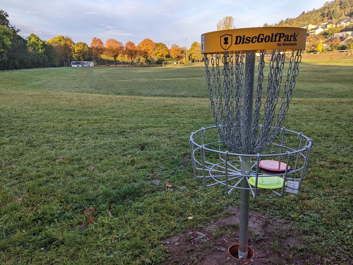 Basket 7 from behind