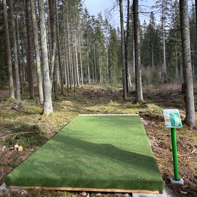 Tee 1