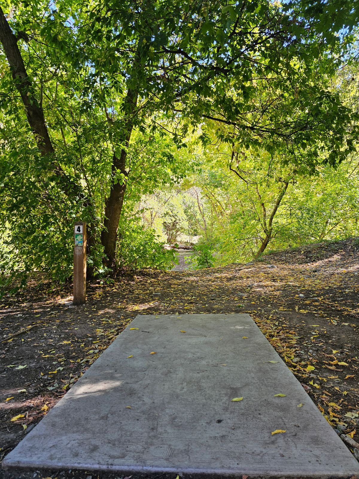 Tee Pad #4