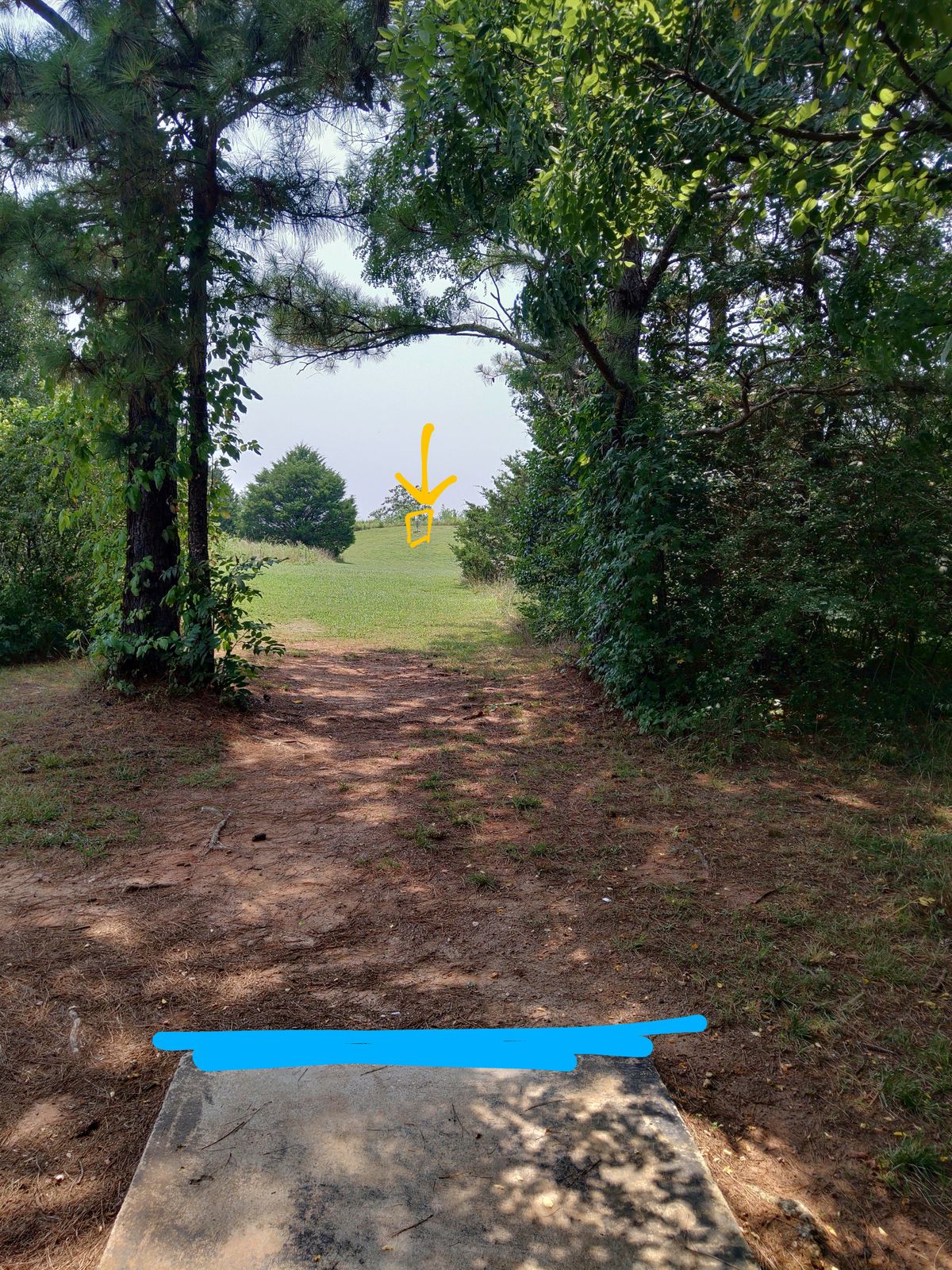 View from long tee box.