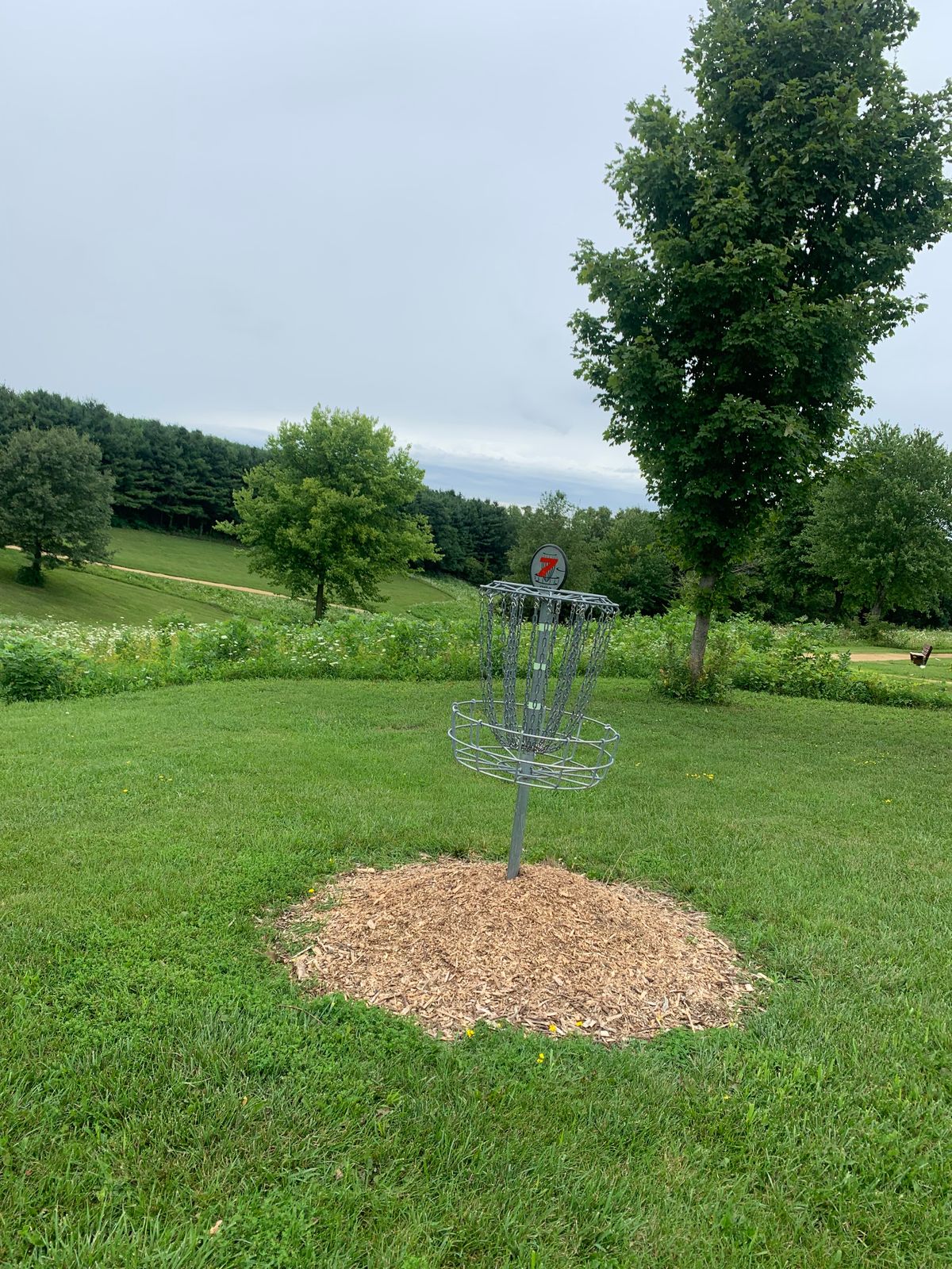 View of hole 7 basket