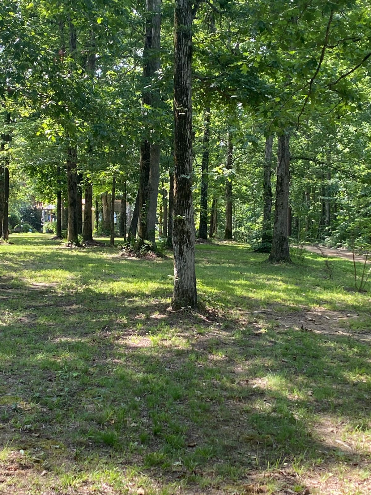 #4 Tee Pad View