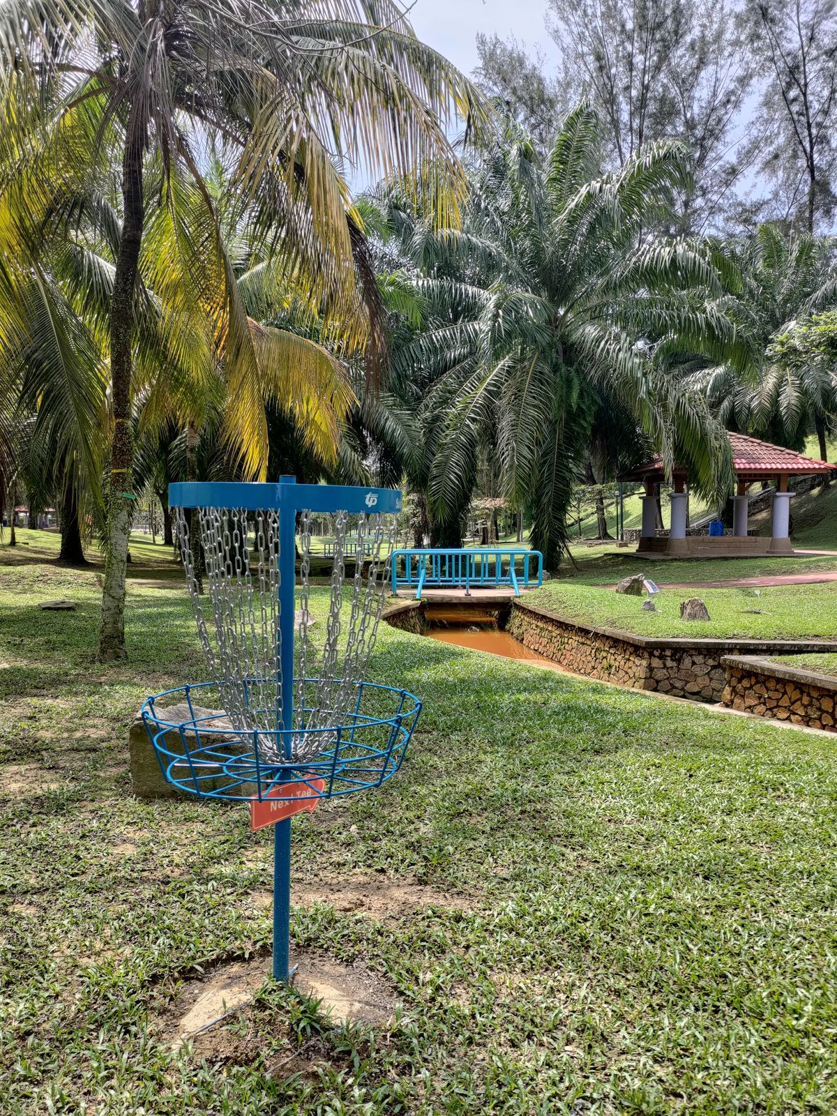 Hole 10