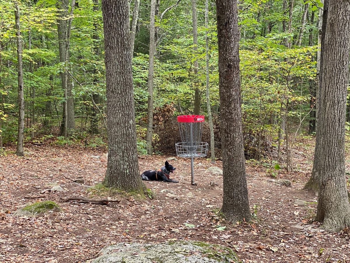 Geno chillin by the basket of 9