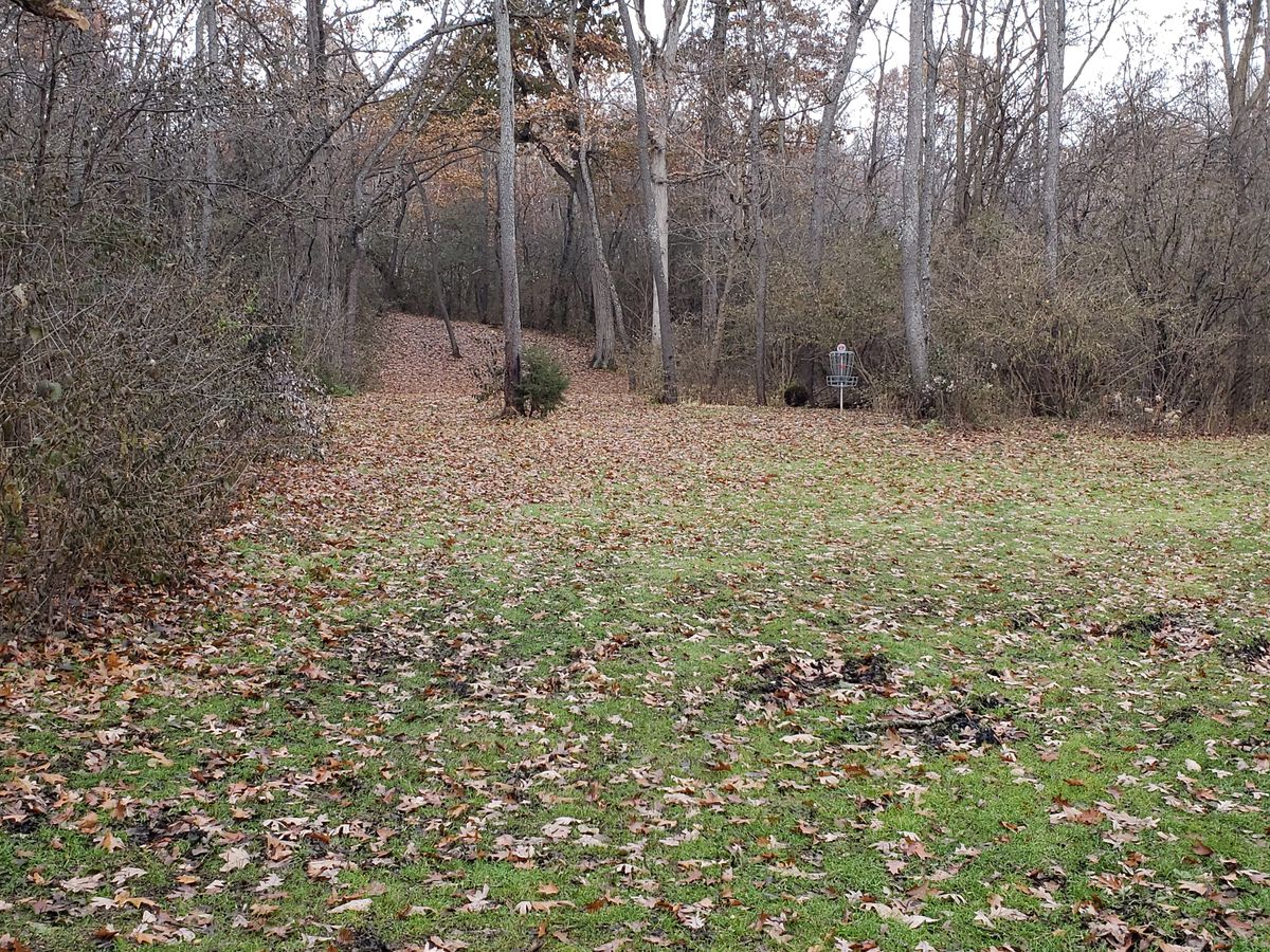 Hole 17