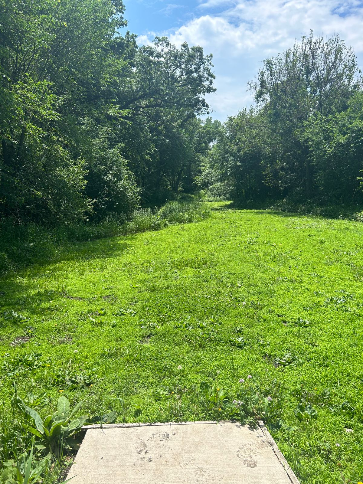 Hole 14