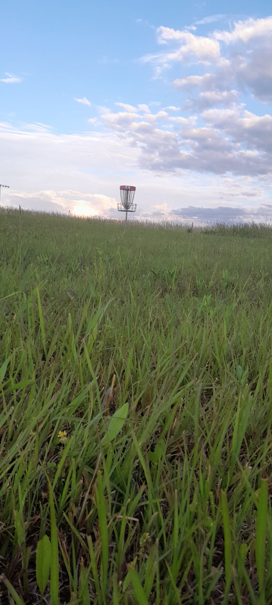 Hole four