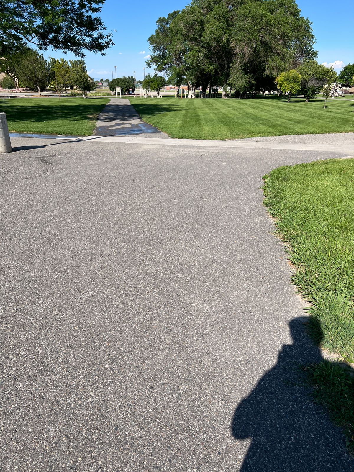 Hole 14 tee