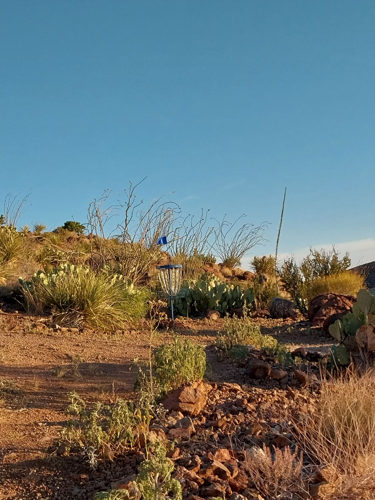 Extreme Desert Disc Golf