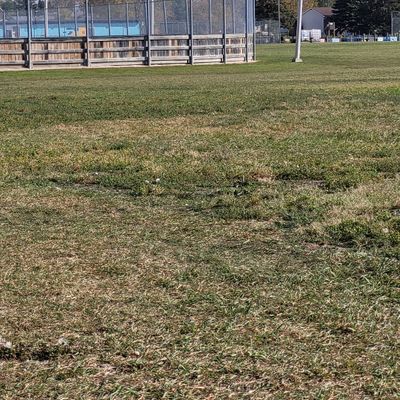 Looking at the 1st hole, the lamp post on the corner