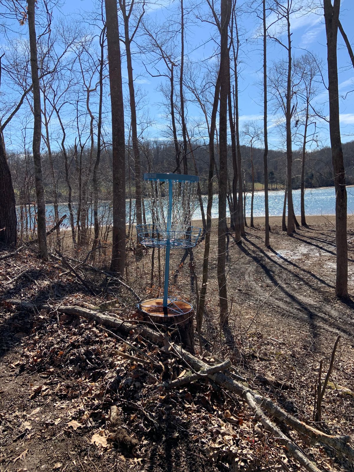 Elevated basket with death putt behind.